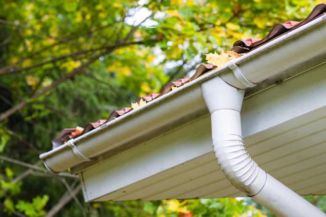 Gutter Services